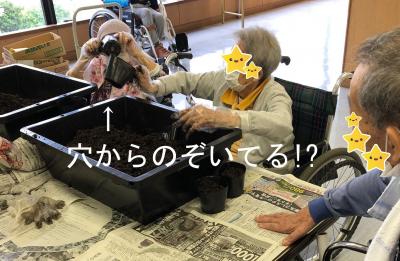 ↑ あれ? こっち見てる??<br>