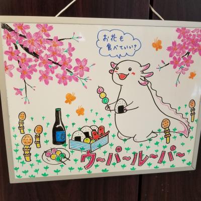 イラストは季節ごとに描き替えます。<br>