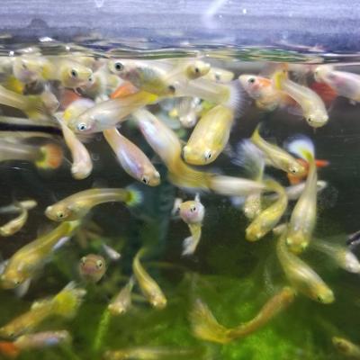 エサくれダンスが激しい・・笑<br>