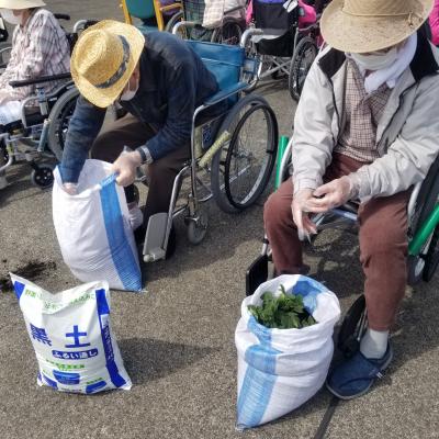直接、土の袋にも植えますが、、<br>