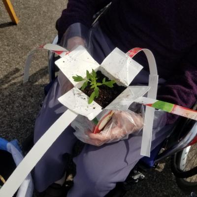 牛乳パックにも植えます♪<br>