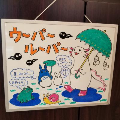 梅雨バージョンです♪<br>