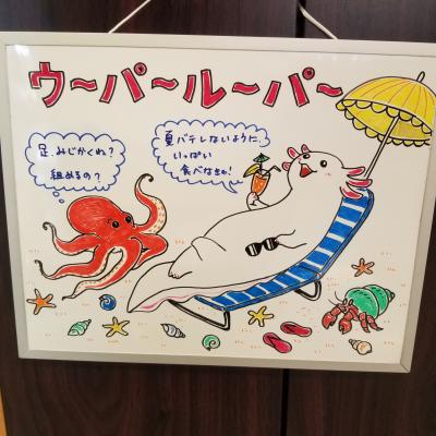 こちらは、夏バージョン!<br>