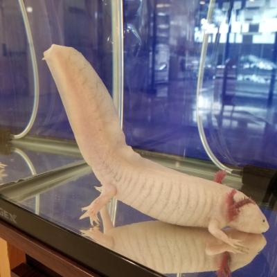 横から見ると・・・セクシーポーズ。あなたは一体何をしたいの?<br>